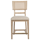 Back view of Kailani Radio Weave Cane Counter Dining Side Chair