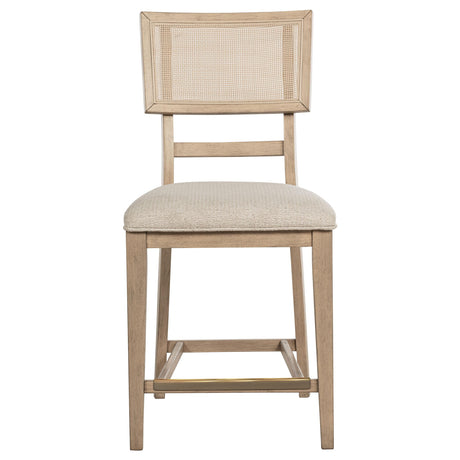 Back view of Kailani Radio Weave Cane Counter Dining Side Chair