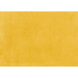 Fabric swatch of yellow velvet upholstery for Grazioso chair