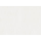 Lana White Queen Bed white finish swatch