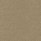 Next-Gen DuraPella sand fabric texture