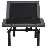 Tasca Twin Dual-Motor Adjustable Bed Base in Black — product image 5