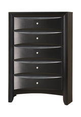 Briana Rectangle Black Dresser Mirror front view