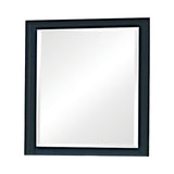 Sandy Beach Black Vertical Dresser Mirror angled side view