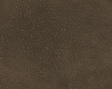 Two-tone DuraPella upholstery texture