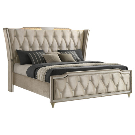 Close-up of button-tufted wingback headboard with LED lighting