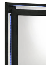Close-up of black velvet frame and LED lighting