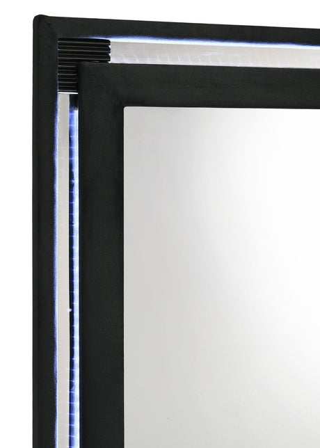 Close-up of black velvet frame and LED lighting