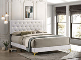 Kendall Tufted Upholstered Panel Queen Bed White, front angle view