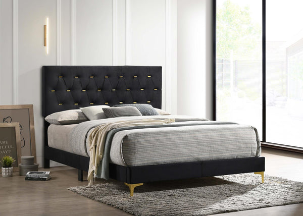 Kendall Tufted Panel Eastern King Bed Black and Gold, front view