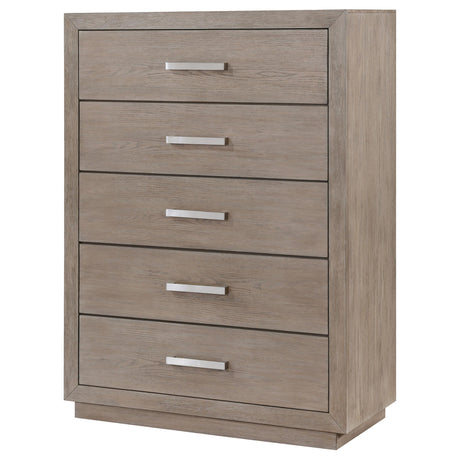 Chrome finish bar pull close-up on chest drawer