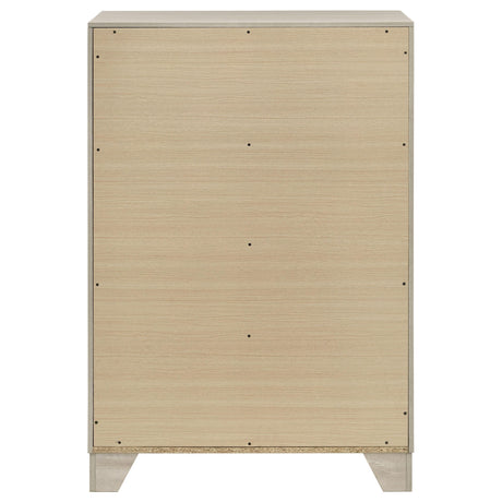 Four spacious drawers of the Trenton chest