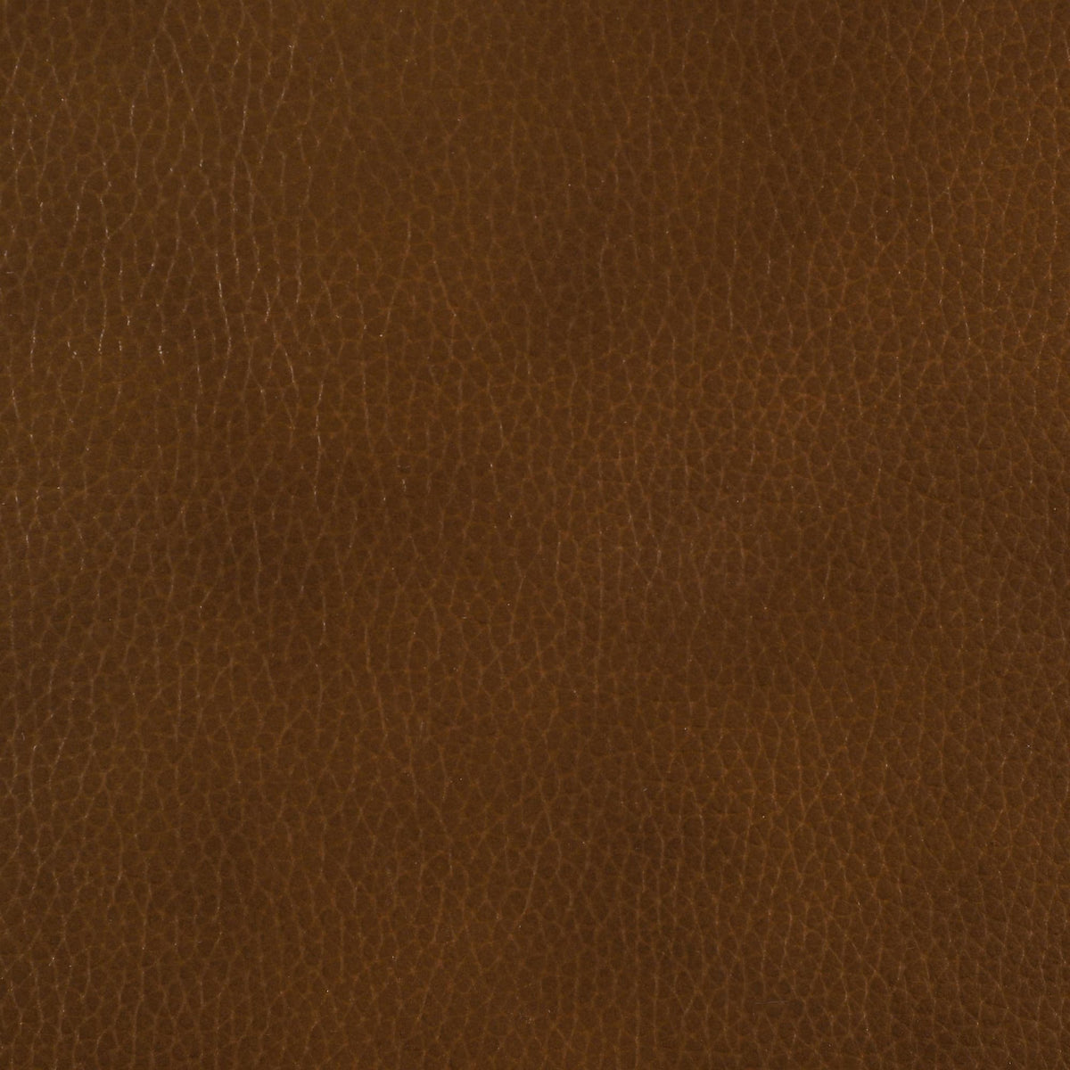 Vardon Dark Brown Genuine Leather Bar Stool Set of 2 — product image 9