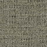 Swatch showing Cascilla Pewter fabric color