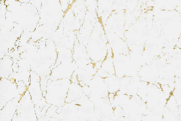 Rabbit White and Gold Art Silk Shine Rug front angle