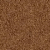 Emilia Caramel fabric swatch in caramel color