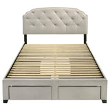Marianna Queen Bed platform frame with slatted support