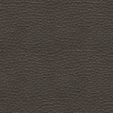 Ashley Fyne-Dyme Shadow fabric swatch
