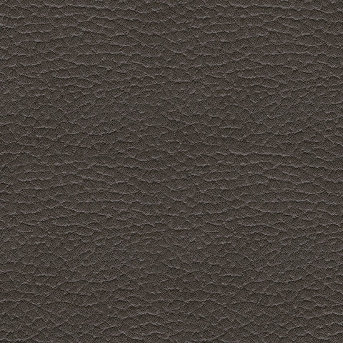 Ashley Fyne-Dyme Shadow fabric swatch