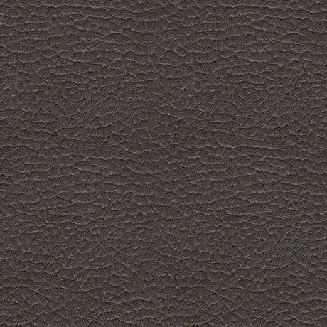 Ashley Fyne-Dyme Shadow fabric swatch
