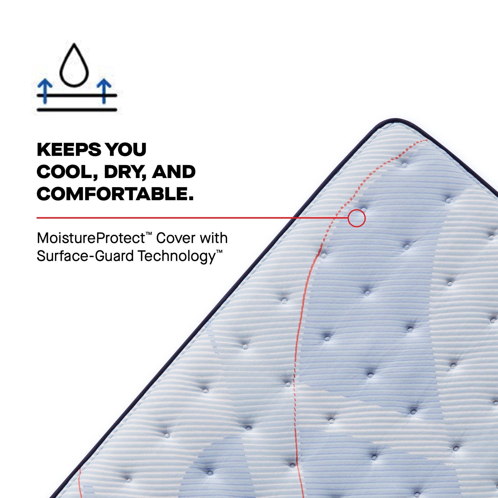 Sealy Posturepedic® Plus Spring Firm Mattress