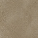 Next-Gen Durapella Sand Microfiber Power Lift Recliner upholstery swatch