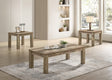 Theo 3-Piece Reclaimed Wood Coffee Table Set from Decor Furniture