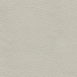 Genoa Coconut Leather Queen Sofa Sleeper - Ella Furniture