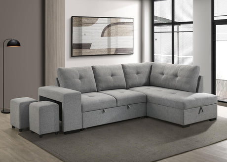 Roanne sleeper sectional sofa chaise with hidden storage open