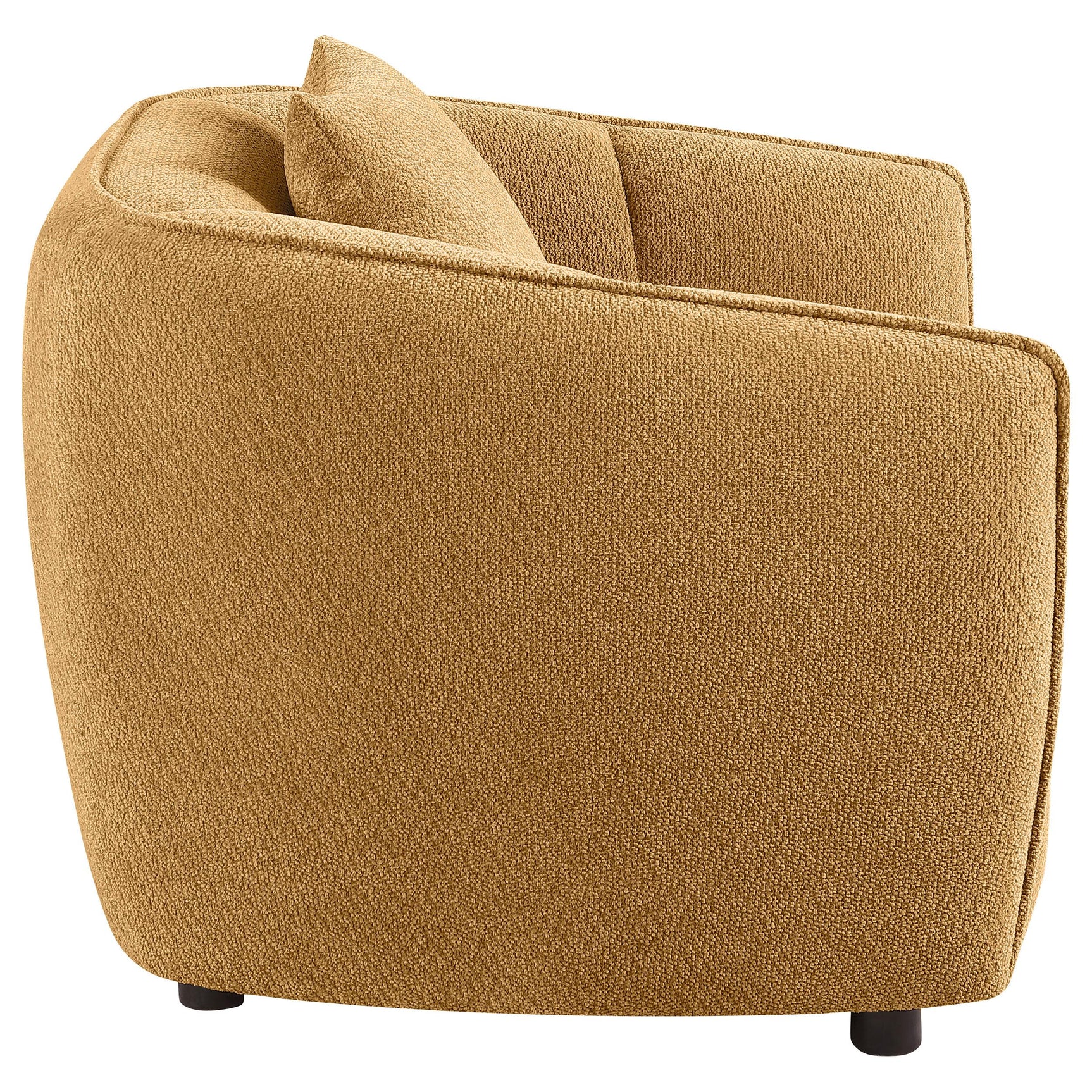 Comfortable rounded shelter arms of Aleisha chair