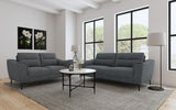 Overall view of Nolan loveseat in living space