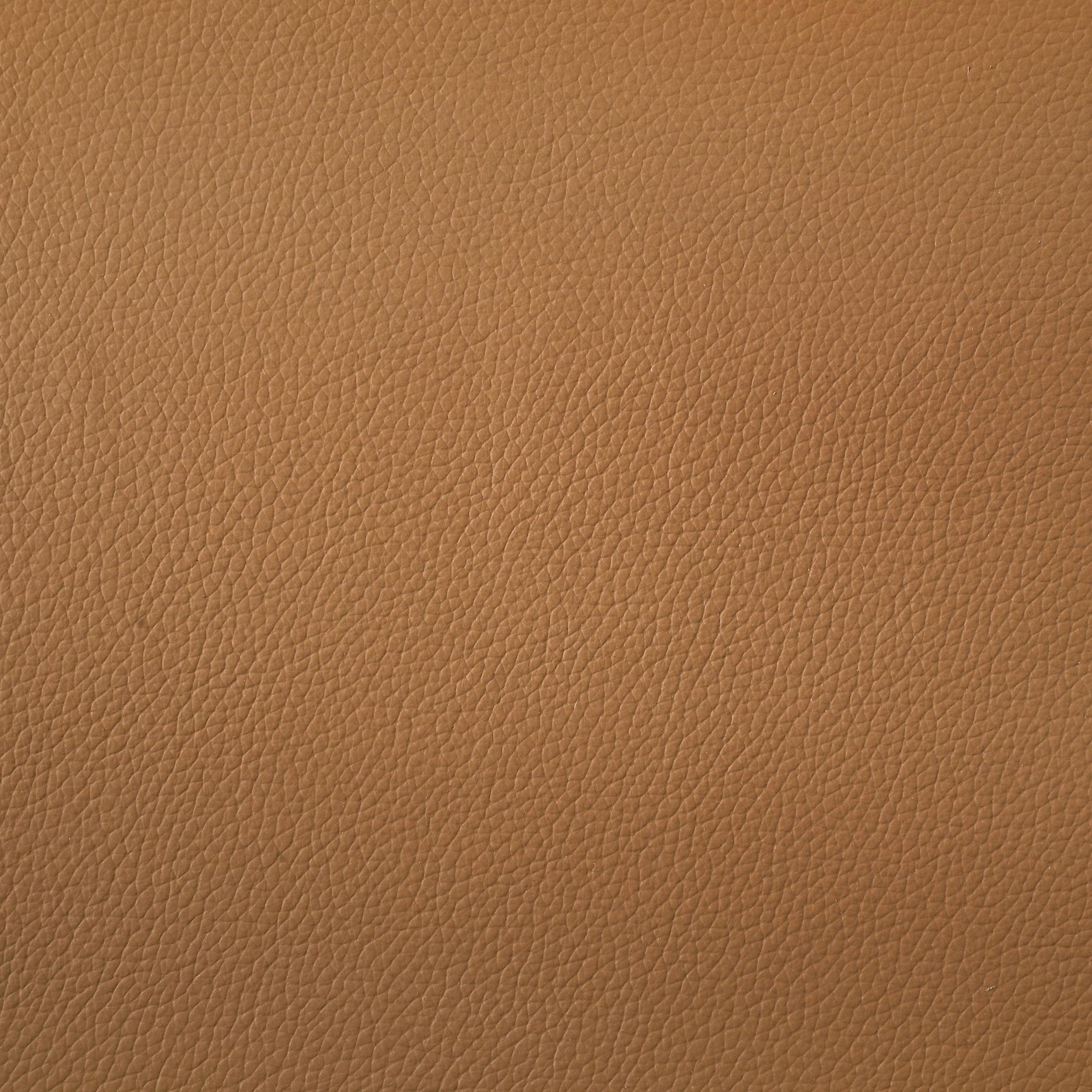 Buxton Top Grain Leather Upholstered Loveseat Orange