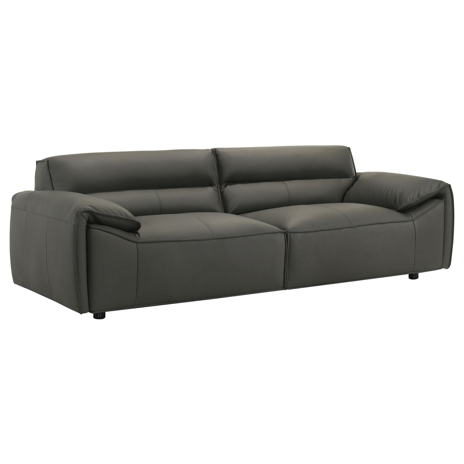 main view of Buxton Top Grain Leather Upholstered Sofa Graphite furniture