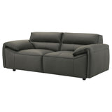 Close-up of graphite leather upholstery