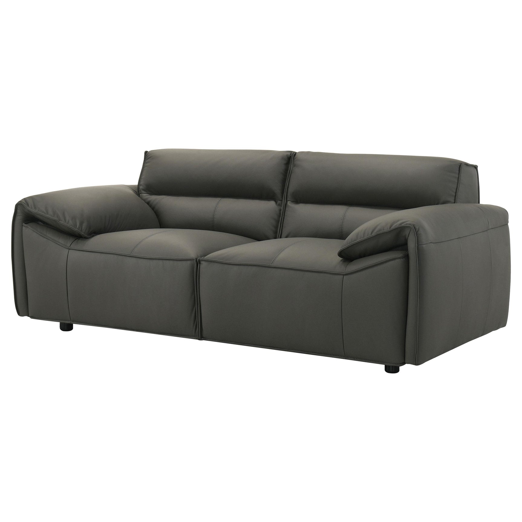 Close-up of graphite leather upholstery