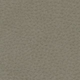Fabric swatch labeled Putty Gaucho