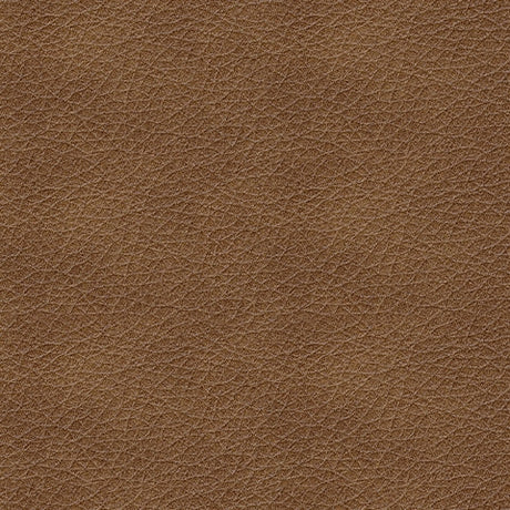 Caramel leather texture swatch