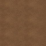 Bolsena Caramel Leather Queen Sofa Sleeper