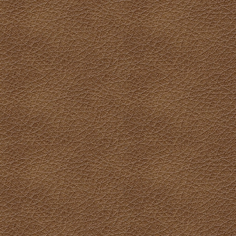 Bolsena Caramel Leather Queen Sofa Sleeper