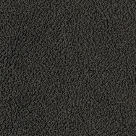 Luigi Thunder Loveseat leather fabric swatch illustration