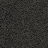 main view of Luigi Thunder Leather Sofa furniture
