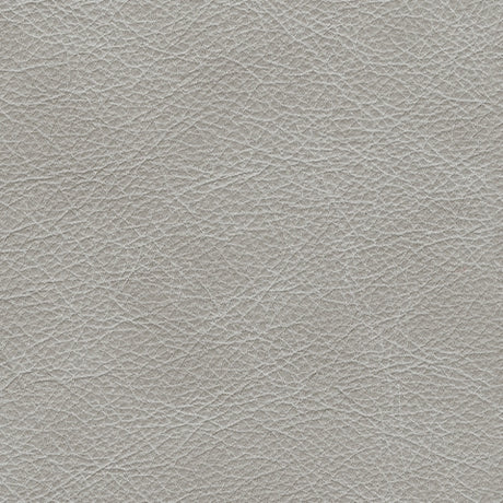 Fabric swatch detail of Amiata Glacier upholstery