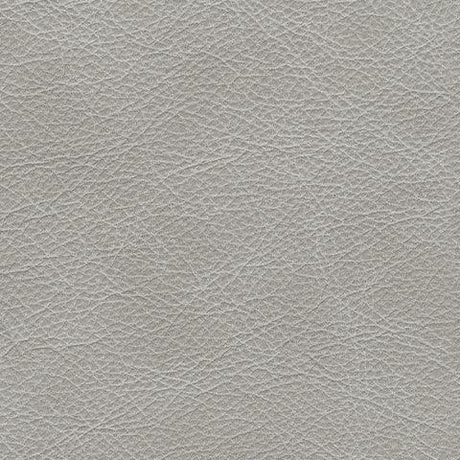 Glacier leather swatch for Amiata Ottoman upholstery