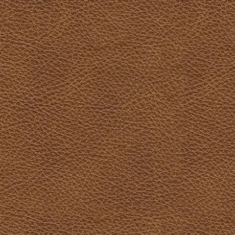 Carianna Caramel fabric swatch