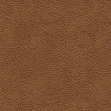 Leather upholstery swatch for Carianna chair