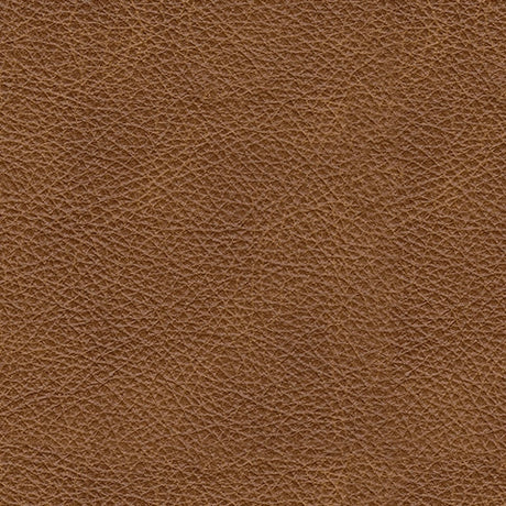 Leather upholstery swatch for Carianna chair