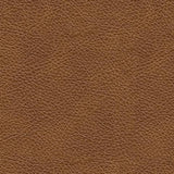 Carianna Caramel Leather swatch showing color and texture