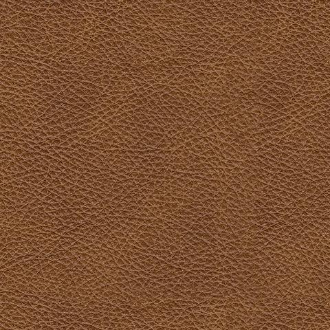 Carianna Caramel Leather swatch showing color and texture