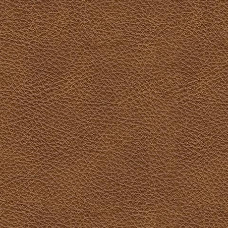 Carianna Caramel Leather swatch showing color and texture