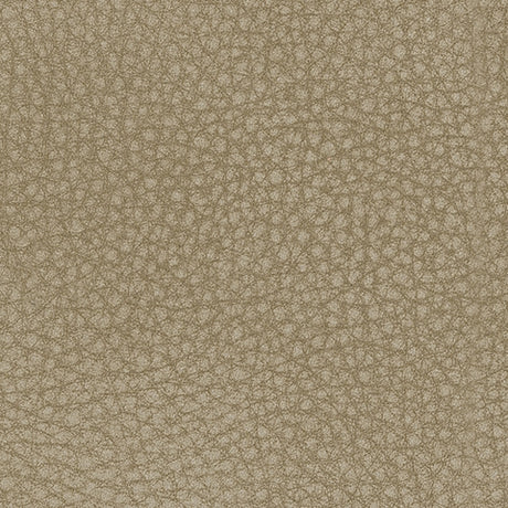 DuraPella material sample showing water resistance